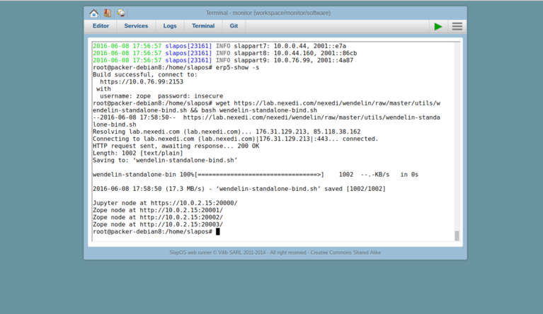 Wendelin-ERP5 Socat Bind Port Forward