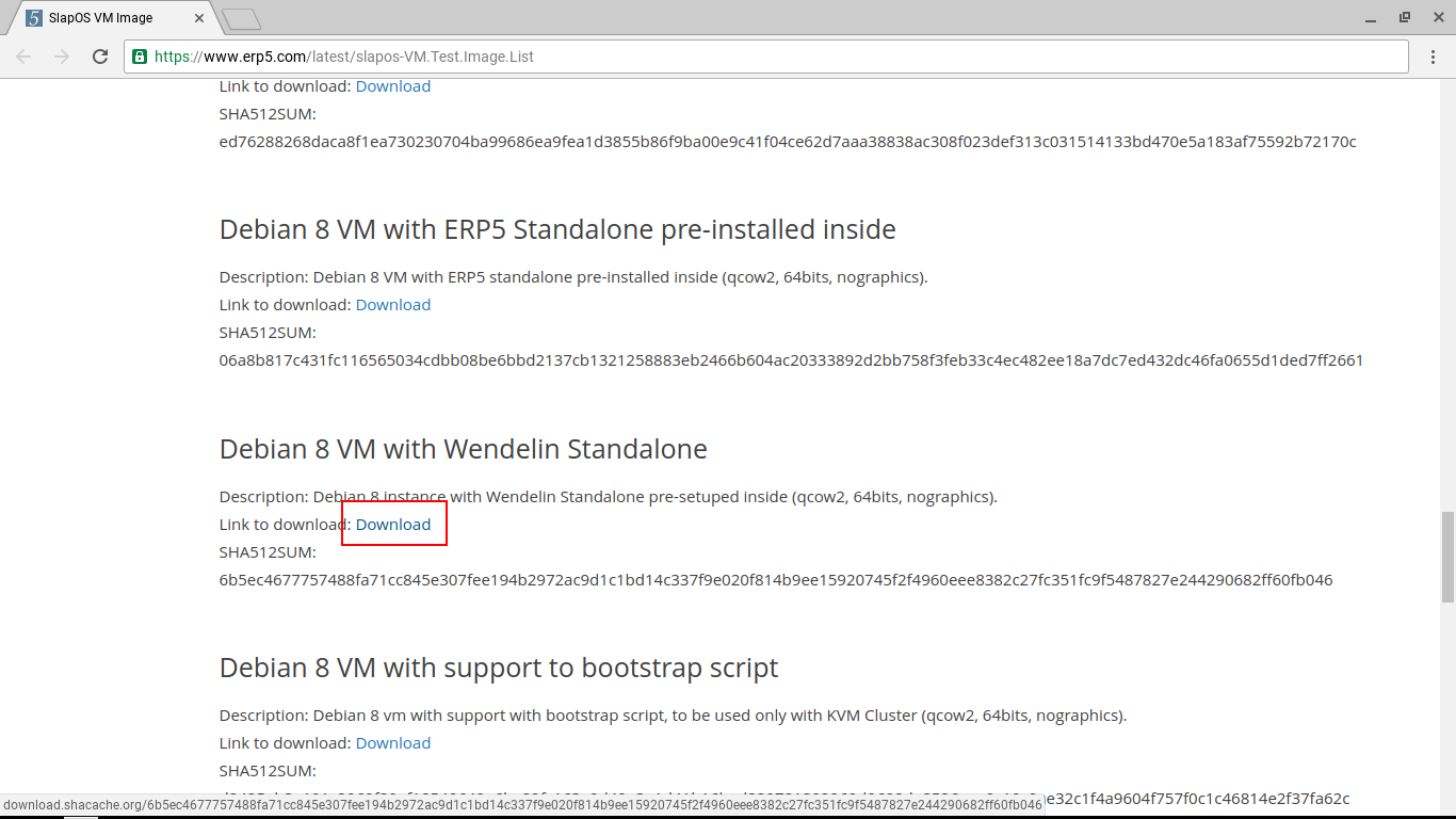 Downloading the Wendelin VM