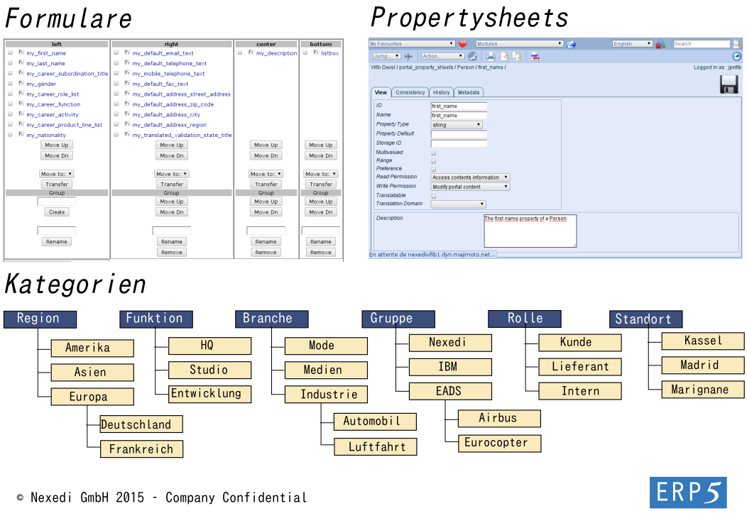 Flexible data model and forms