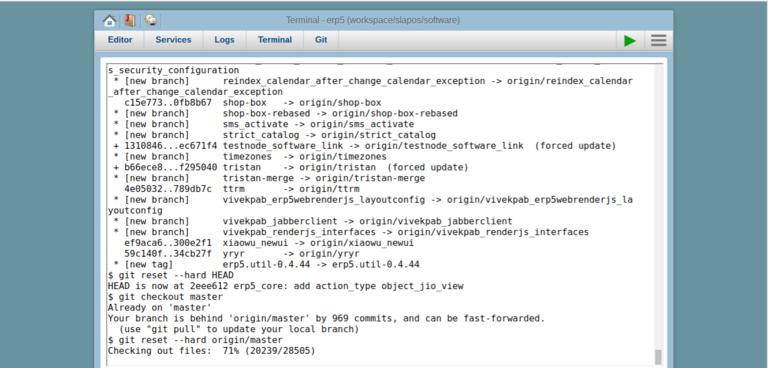 SlapOS Webrunner Terminal | Screenshot ERP5 Repository Update